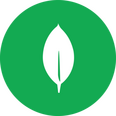 Mongodb Mongodb